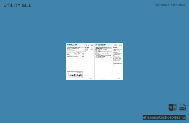 USA, Kalifornien, PG&E (Pacific Gas and Electric Company), Stromrechnung, 6 Seiten, Beispielansicht 3, 4